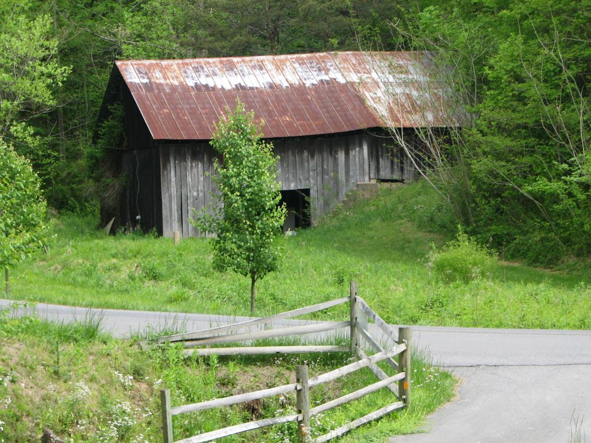 Cozy Creek Cabin Pigeon Forge Exterior foto